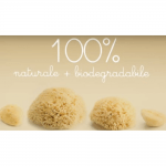 esponjas-naturales-generica-2-1000×1000