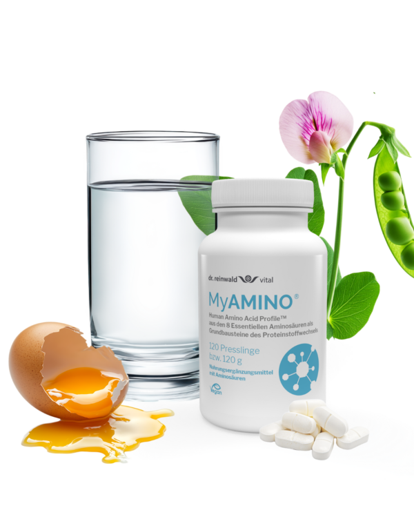 MyAMINO 2